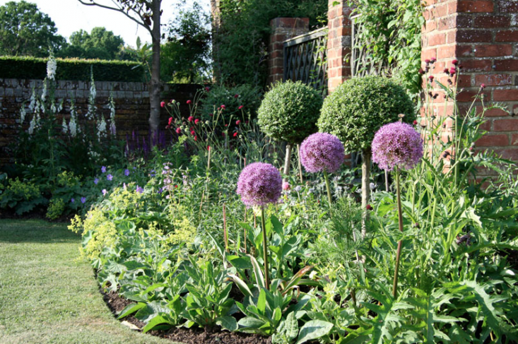 Wealden Estate Purple Flowers Marian Boswall Gardenista